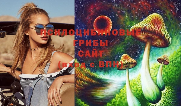 скорость Алзамай